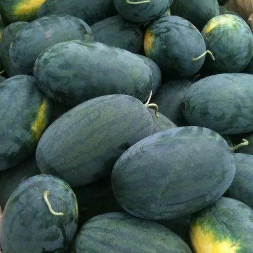黑料吃瓜群ss688