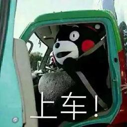 最新热门瓜滴滴上车,揭秘网约车行业新动态与变革