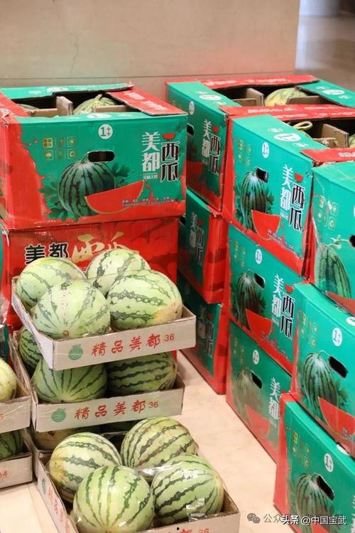 郴州吃瓜最新事件爆料,揭秘背后惊人真相，网络舆论漩涡再起