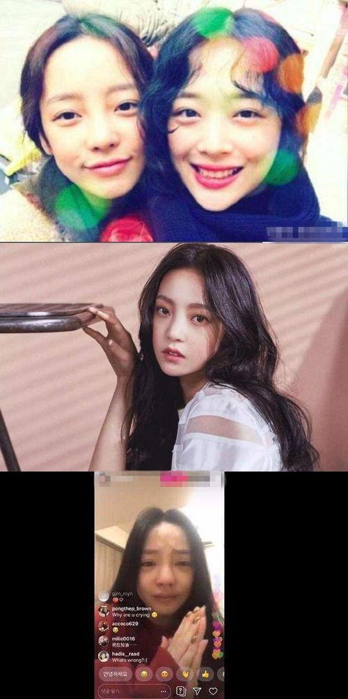 娱乐圈吃瓜综艺小说