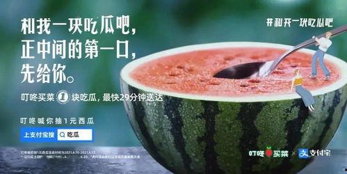 今日份茄瓜文案,营养美味，健康生活新选择