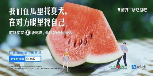 今日份茄瓜文案,营养美味，健康生活新选择