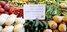 今日份茄瓜文案,营养美味，健康生活新选择