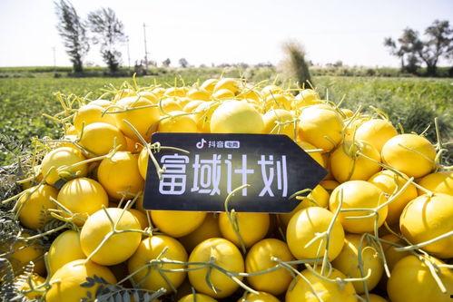 抖音今日大瓜,揭秘热门事件背后的真相