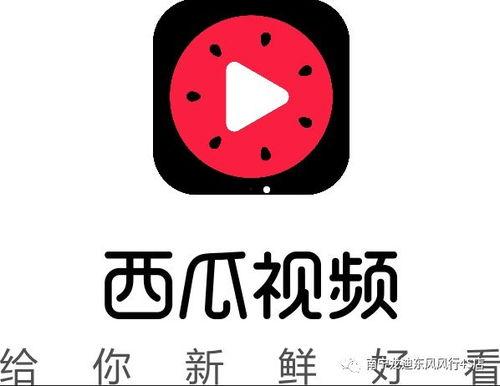 抖音今日大瓜,揭秘热门事件背后的真相