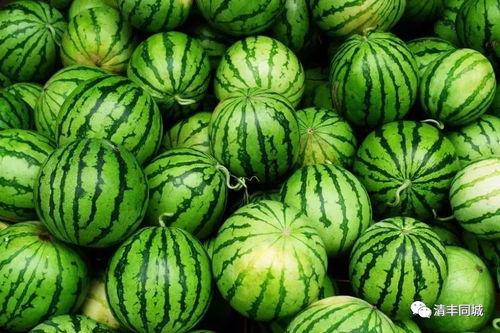 淄博吃瓜爆料事件视频,一场网络视频引发的全民热议