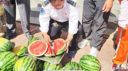 淄博吃瓜爆料事件视频,一场网络视频引发的全民热议