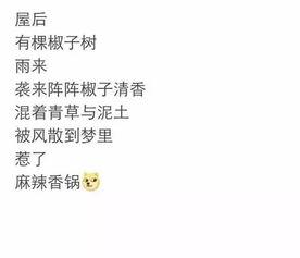 今日份偷瓜文案,今日份甜蜜“冒险”记