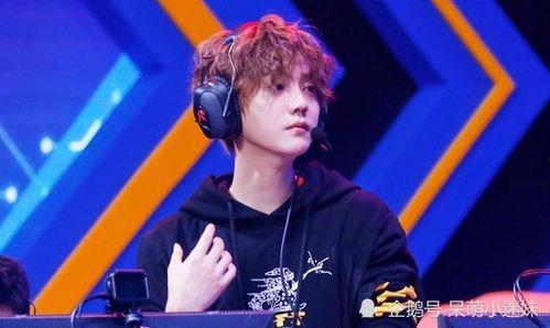 吃瓜娱乐圈鹿晗