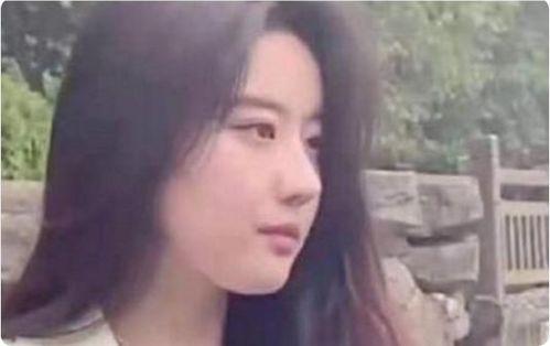 明星网红被子是谁,揭秘其背后的神秘制造商