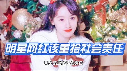 社会需要明星网红吗,社会需求下的明星网红现象解析