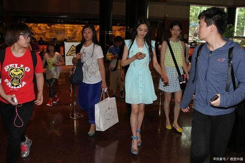 明星网红违法行为,警示录