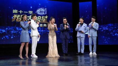 大明星网红演唱,网红歌手演绎流行乐坛新篇章