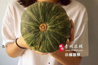 宁夏石缝瓜今日行情,品质瓜果价格走俏，市场供需两旺