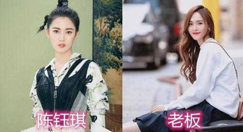 关于明星网红的看法,明星网红现象的社会影响与争议解读