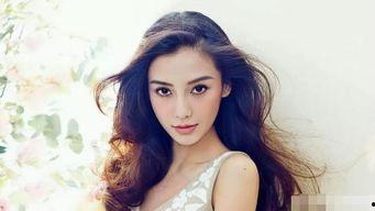 关于明星网红的看法,明星网红现象的社会影响与争议解读
