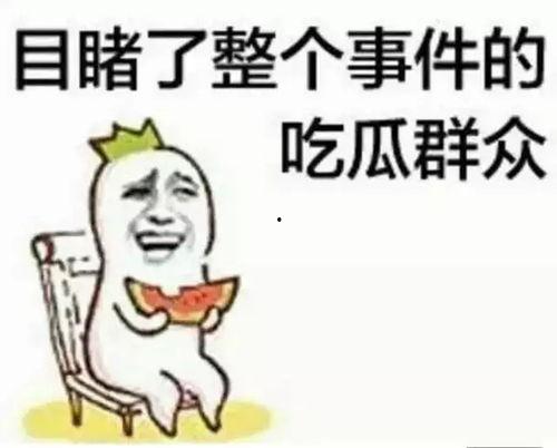 今日群众吃瓜视频,群众吃瓜视频，揭秘娱乐圈幕后故事