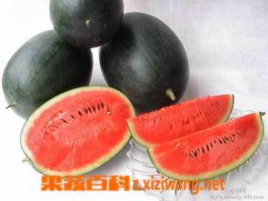 扒哥吃瓜 网红黑料,网红黑料大曝光