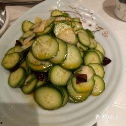西安乳瓜今日价格,市场行情实时解析