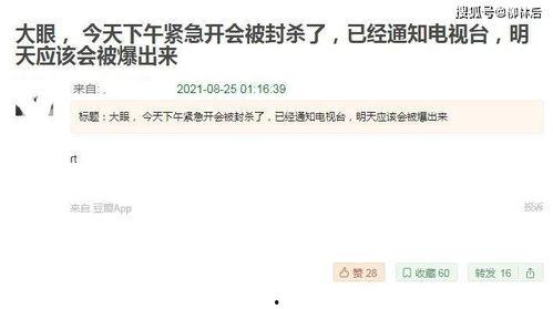 明星吃瓜爆料文件违法吗,法律边界与道德考量