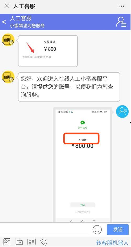 明星网红闲鱼名字,明星效应下的二手交易新势力