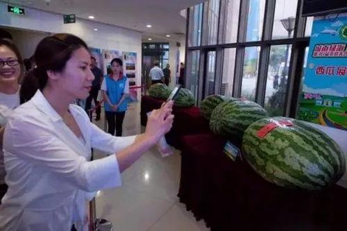 最新容城吃瓜热门事件新闻,最新吃瓜事件揭秘，真相令人咋舌！