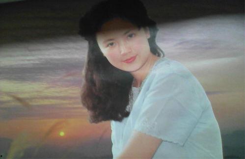 明星网红去佛山拍戏,星光熠熠！明星网红佛山影视之旅