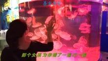 瓜女子抖音最热门歌曲,燃爆夏日青春旋律