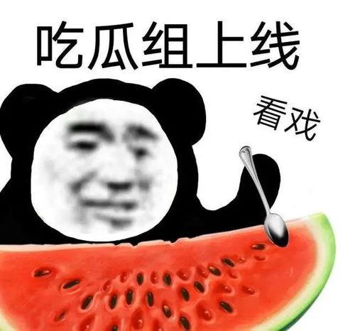 黑料吃瓜是什么意思