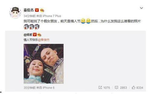 明星网红区别文案图,形象塑造与传播差异深度解析