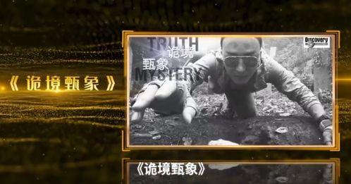 明星网红命理分析,命理分析揭示人生奥秘