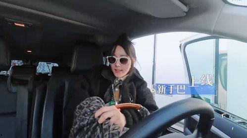 明星网红开车事件视频,视频揭秘惊险一幕
