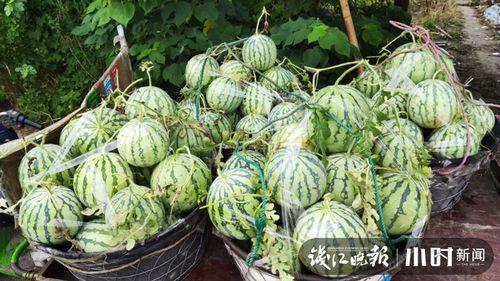 阳江吃瓜爆料是真的吗,真相揭秘，是真是假？
