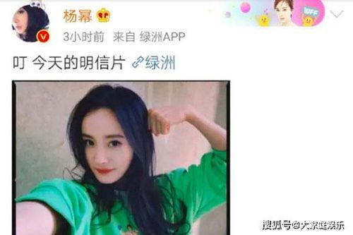杨幂 吃瓜爆料事件,真相与谣言的交织