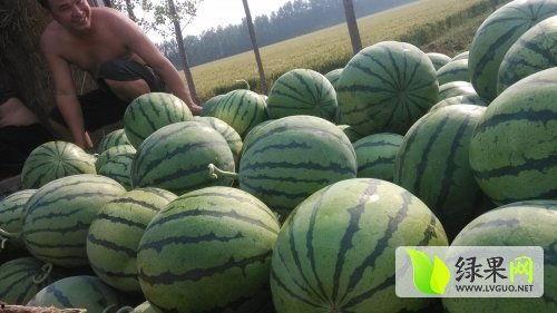 近期运城热门吃瓜事件,揭秘近期热门吃瓜事件背后的真相