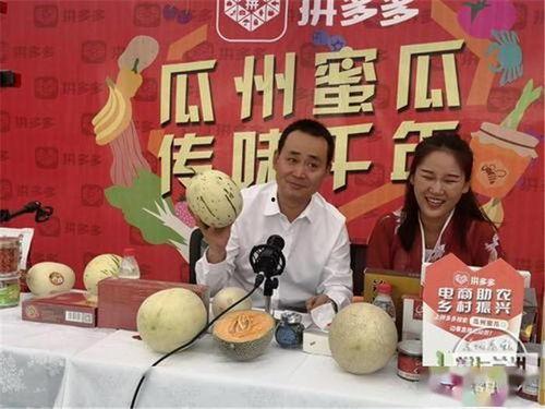 瓜州县今日新闻,聚焦乡村振兴与绿色发展新篇章