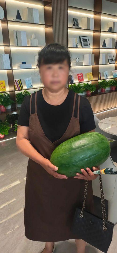今日摘瓜视频大全,趣味横生，笑料百出