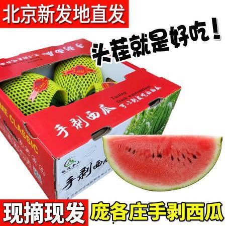 今日摘瓜视频大全,趣味横生，笑料百出