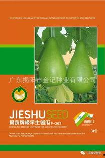 蒲瓜广东今日价格,市场行情一览”