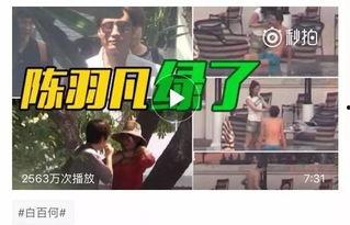 劲爆吃瓜爆料视频大全,揭秘娱乐圈幕后真相