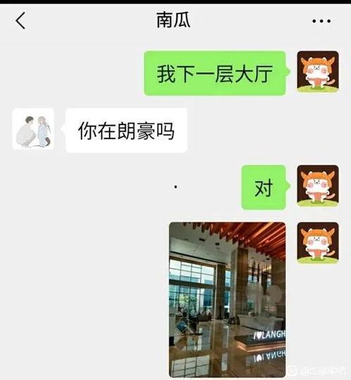 劲爆吃瓜爆料视频大全,揭秘娱乐圈幕后真相