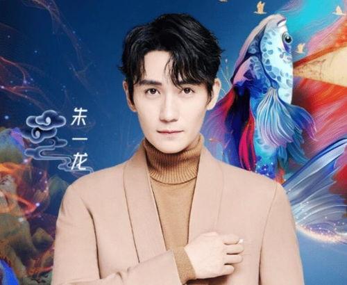 跨年海南明星网红,海南明星网红齐聚，共度璀璨星夜