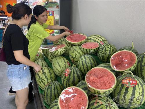 麒麟瓜今日价格宁夏,新鲜上市，品质保证！”