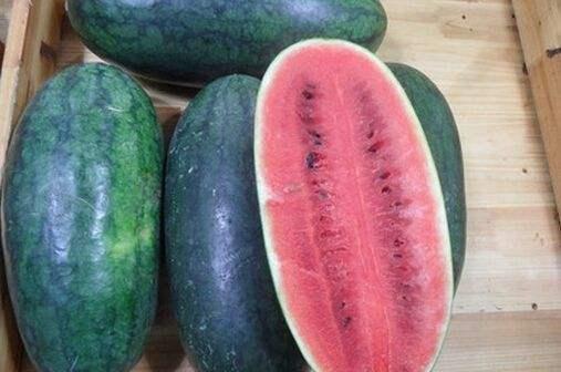 51cg热门大瓜黑料大瓜,揭秘娱乐圈黑料背后的真相