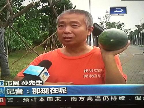 近期的热门吃瓜事件,揭秘近期热门吃瓜事件背后的真相