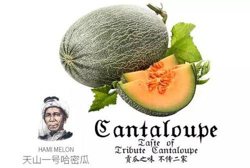 吃瓜群众上热门了吗,上热门现象背后的网络文化现象