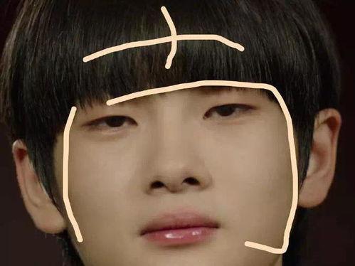 什么让明星网红叹气,揭秘背后的心酸与压力