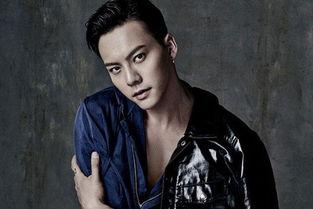 男明星网红神图,男明星的时尚魅力与人气指数