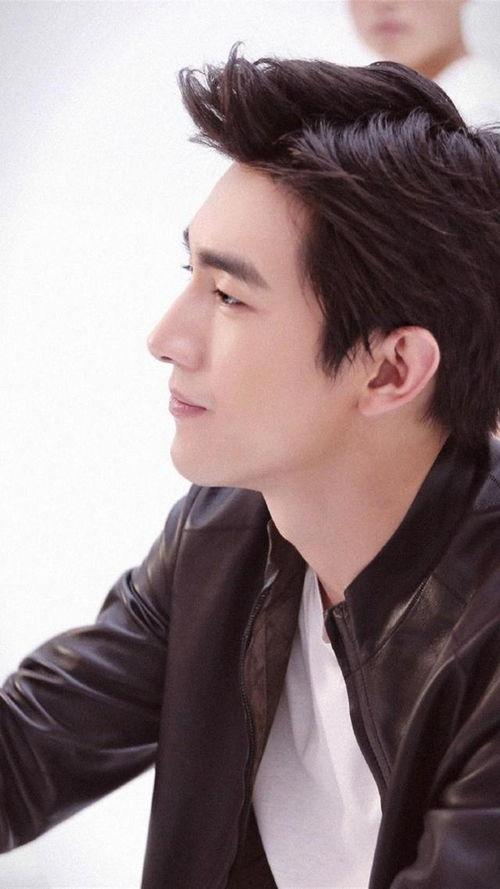 男明星网红神图,男明星的时尚魅力与人气指数