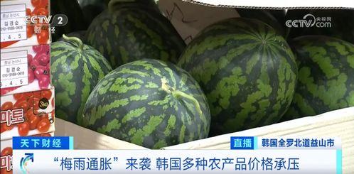 吃瓜最新事件爆料汾阳,揭秘吃瓜群众热议的最新事件内幕”